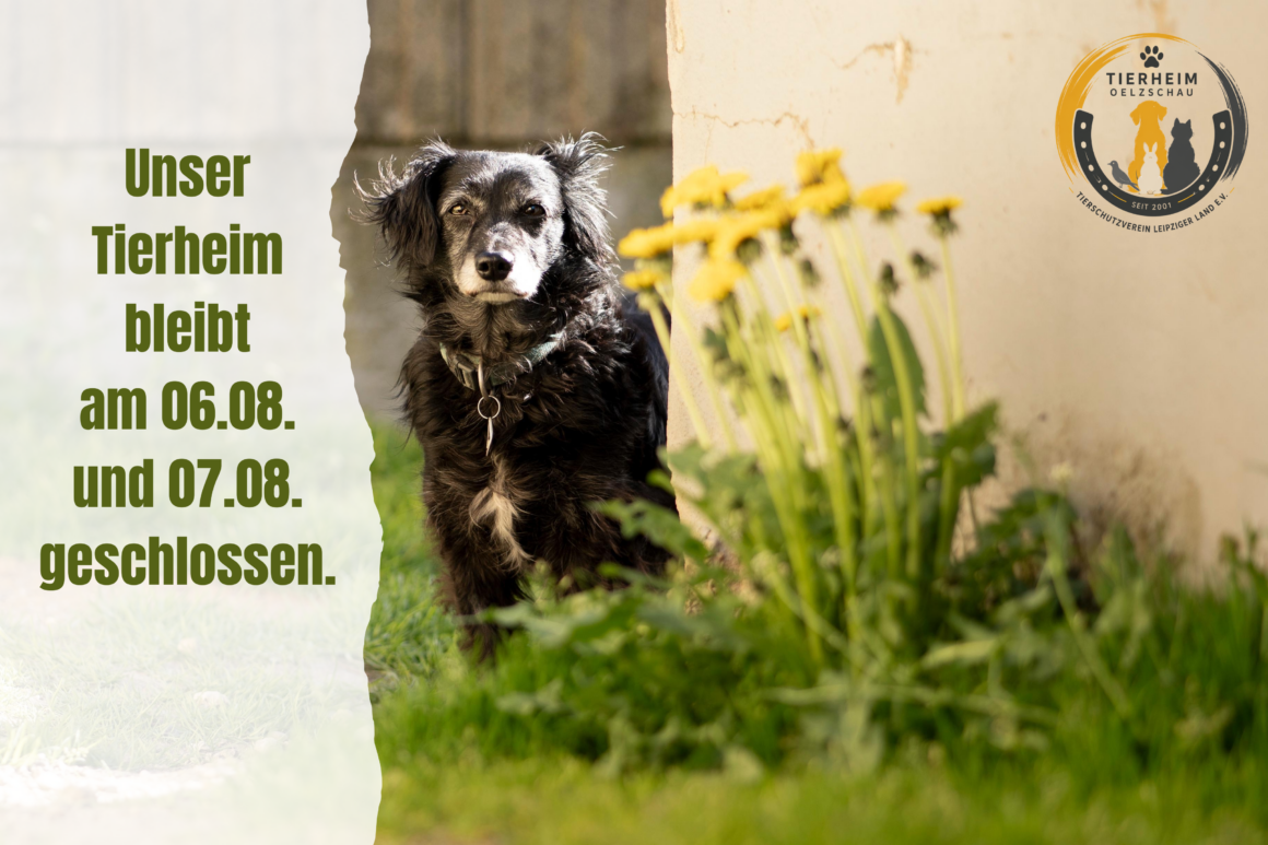 Tierheim am 06.08. und 07.08. geschlossen!
