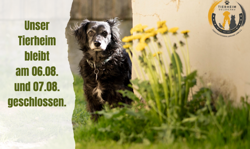 Tierheim am 06.08. und 07.08. geschlossen!