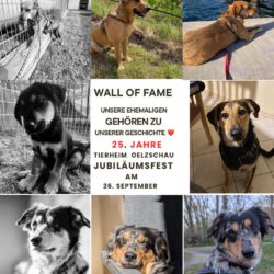 Wall of Fame zum Jubiläumsfest – jetzt seid ihr gefragt!