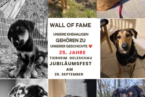 Wall of Fame zum Jubiläumsfest – jetzt seid ihr gefragt!