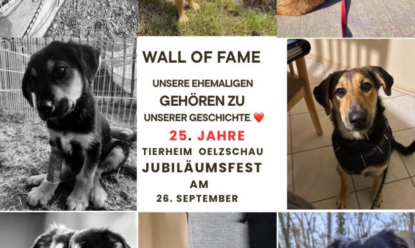 Wall of Fame zum Jubiläumsfest – jetzt seid ihr gefragt!