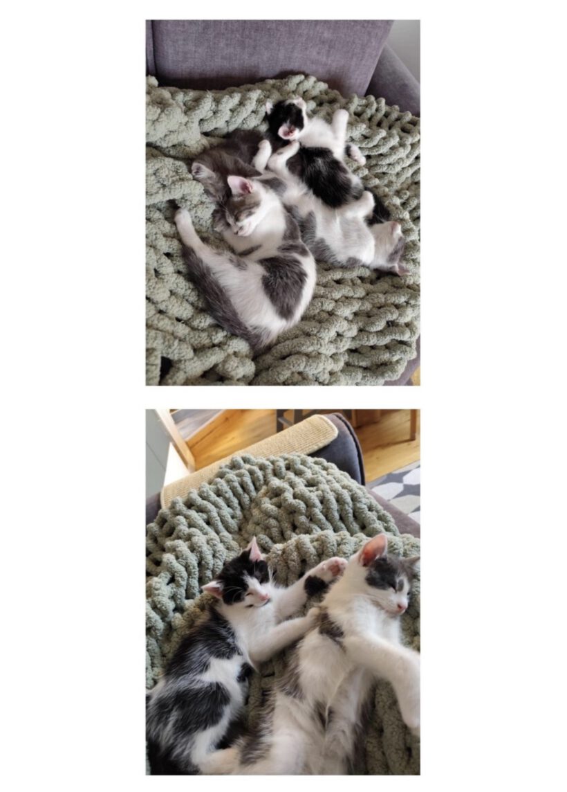 Matti und Maxi – zwei Brüder, zwei Charaktere, ein unschlagbares Team! Matti und Maxi – zwei Brüder, zwei Charaktere, ein unschlagbares Team!