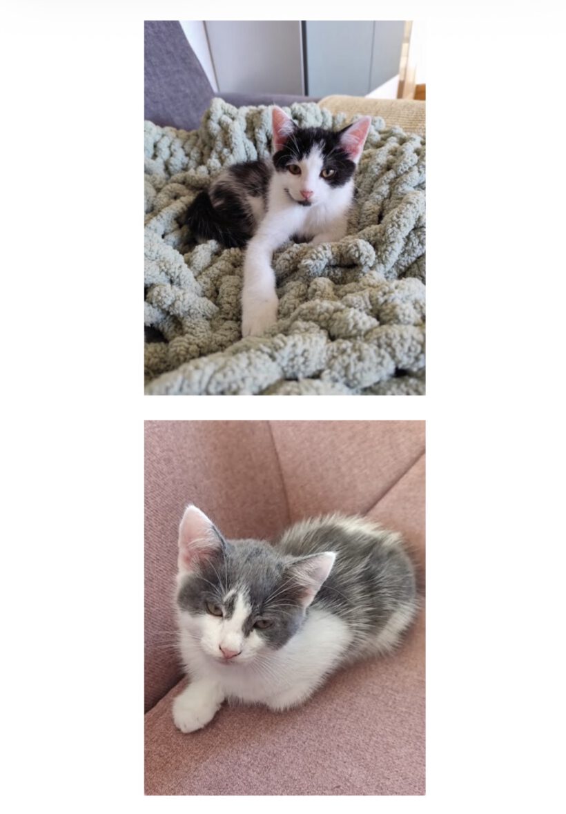 Matti und Maxi – zwei Brüder, zwei Charaktere, ein unschlagbares Team! Matti und Maxi – zwei Brüder, zwei Charaktere, ein unschlagbares Team!