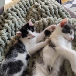 Matti und Maxi – zwei Brüder, zwei Charaktere, ein unschlagbares Team!